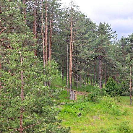 Zlatibor Holiday, Vila Leonardo VI Διαμέρισμα Εξωτερικό φωτογραφία