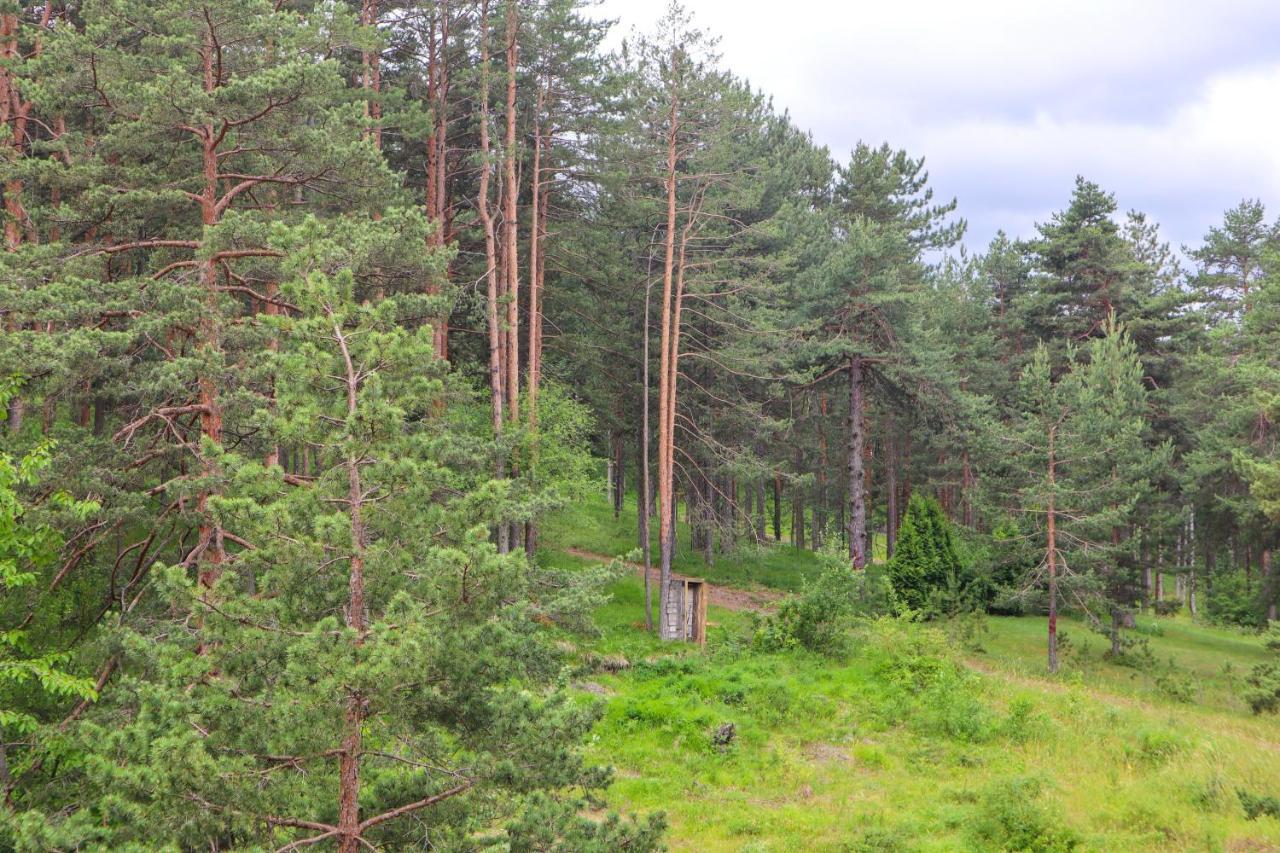 Zlatibor Holiday, Vila Leonardo VI Διαμέρισμα Εξωτερικό φωτογραφία