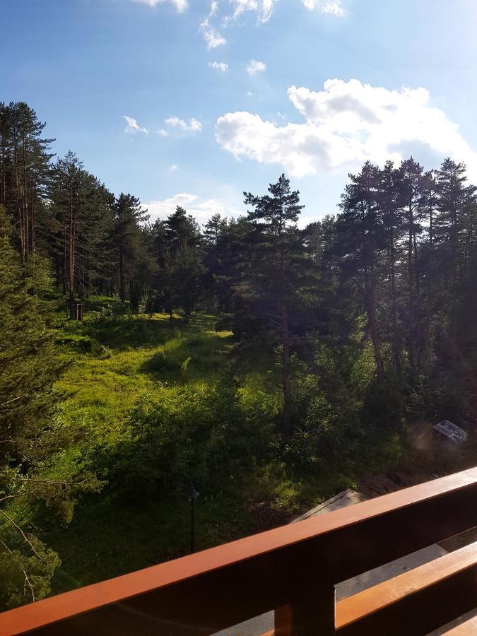 Zlatibor Holiday, Vila Leonardo VI Διαμέρισμα Εξωτερικό φωτογραφία