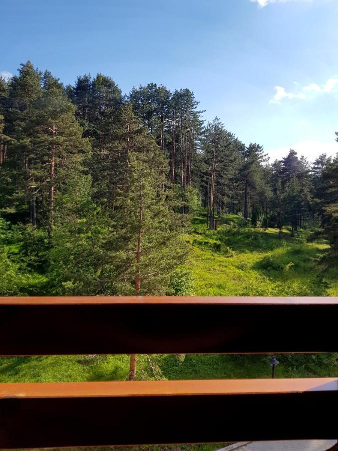 Zlatibor Holiday, Vila Leonardo VI Διαμέρισμα Εξωτερικό φωτογραφία